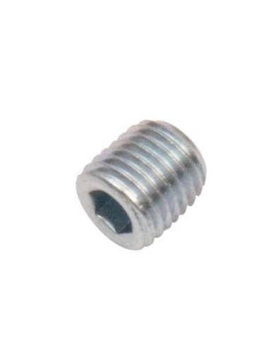 BOUCHON NPT DE 1/16", 1/8" ET 1/4" A TETE ALLEN