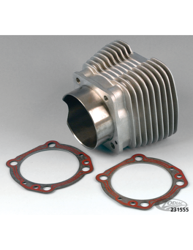 JOINTS DE CULASSE ET D'EMBASE JAMES POUR MOTEURS S&S ET TPE