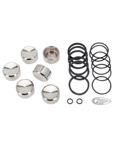 REBUILD KIT FOR TRIKE 6-PISTON CALIPERS