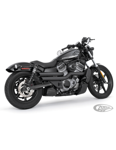 POT D'ECHAPPEMENT FREEDOM PERFORMANCE POUR RH SPORTSTER