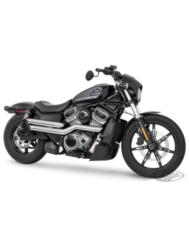 ECHAPPEMENT FREEDOM PERFORMANCE DECLARATION POUR RH SPORTSTER