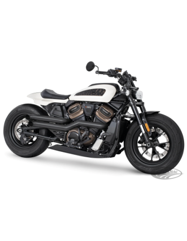 ECHAPPEMENT FREEDOM PERFORMANCE DECLARATION POUR RH SPORTSTER